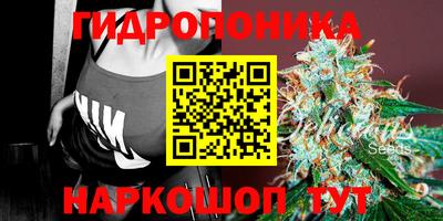 спиды Можайск