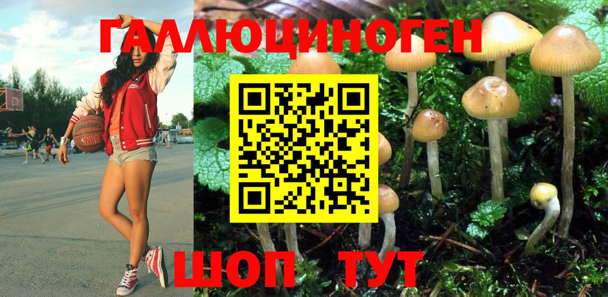Псилоцибиновые грибы мухоморы Партизанск